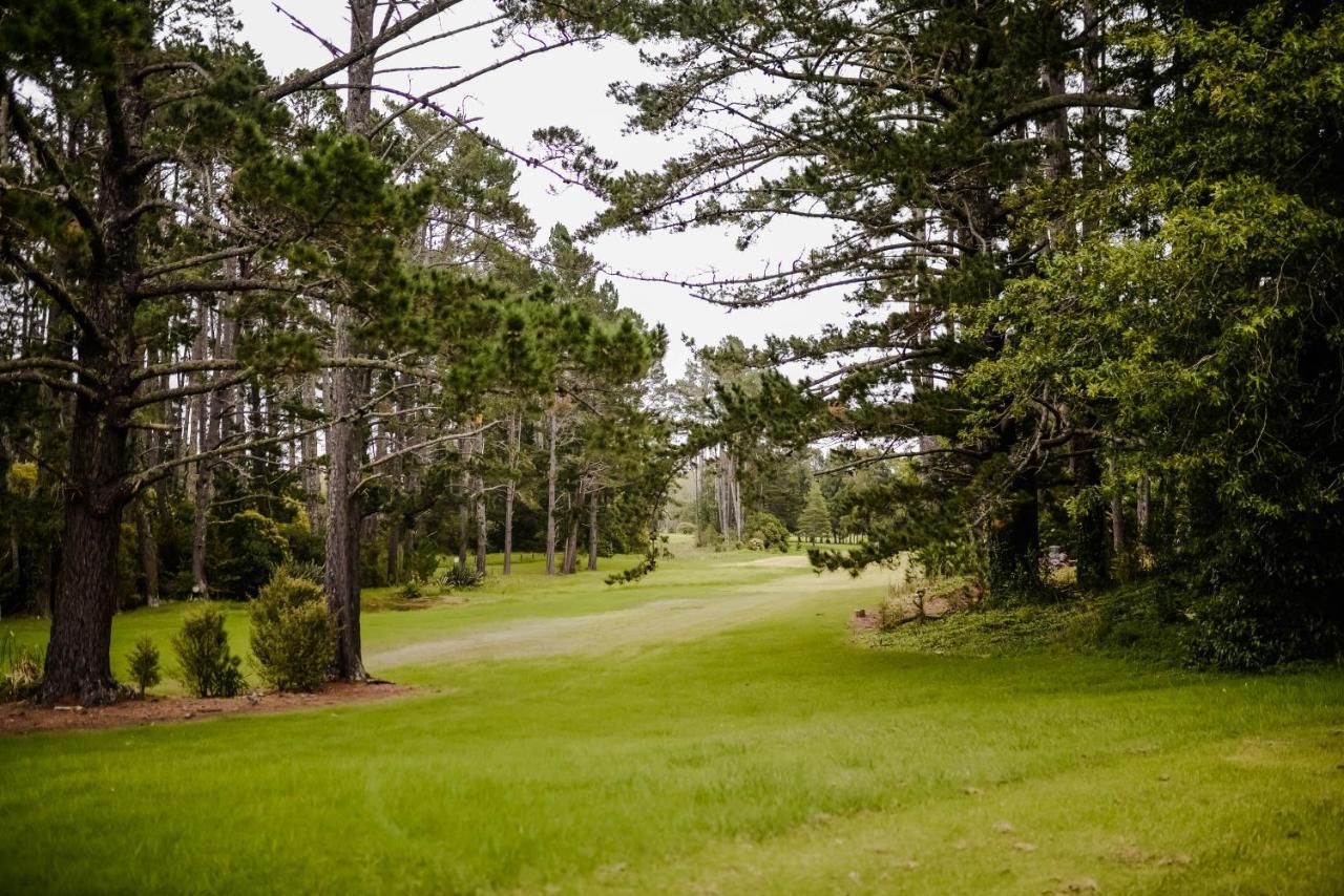 Northridge Golf Resort Orewa Exteriör bild